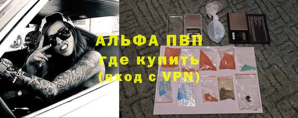 тгк Абаза