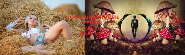 тгк Абаза