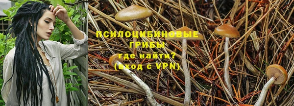 мескалин Абинск