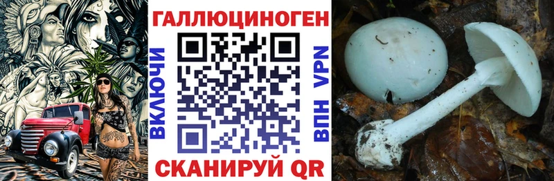 Псилоцибиновые грибы Magic Shrooms Усть-Катав