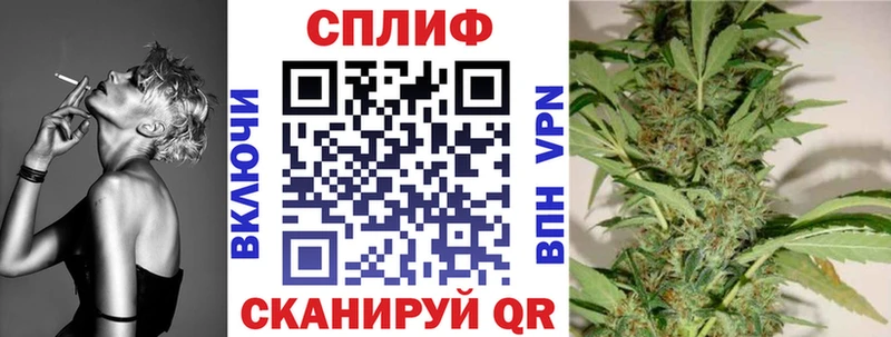 omg tor  Усть-Катав  Канабис сатива 
